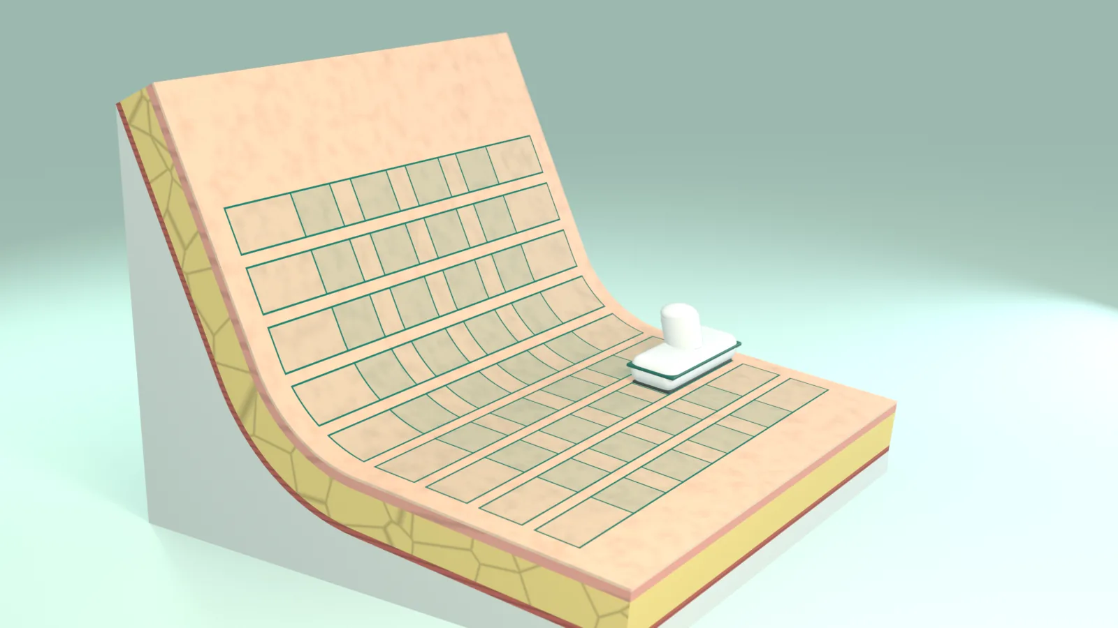 A tissue block curving like the skin under a jaw into a neck, cut at one end to show its layers, with rows of overlapping rectangular treatment footprints on its surface and a rounded applicator head resting on one of them.